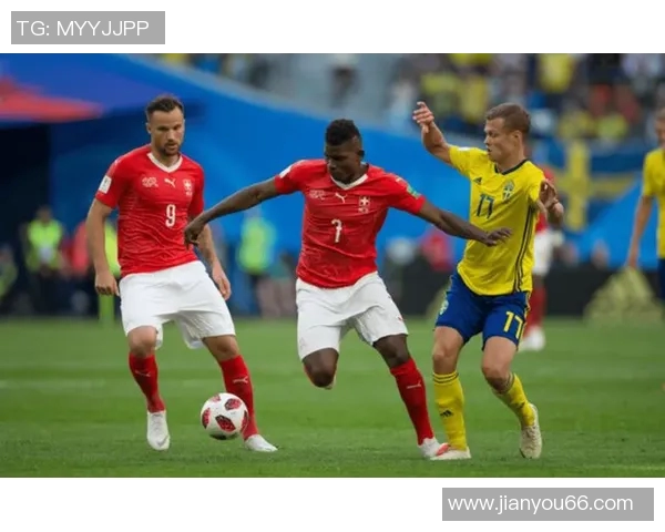 瑞典与瑞士比赛赔付率分析及其影响因素探讨