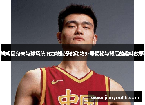 姚明因身高与球场统治力被赋予的动物外号揭秘与背后的趣味故事