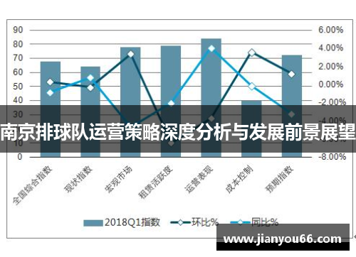 南京排球队运营策略深度分析与发展前景展望