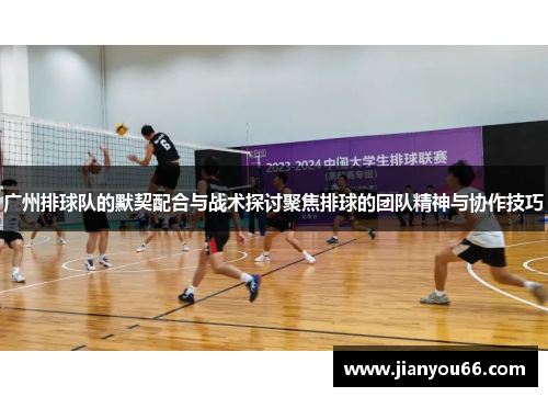 广州排球队的默契配合与战术探讨聚焦排球的团队精神与协作技巧